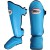 sgl10 blue 4.jpg