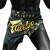 Fairtex-Spodenki-Muay-Thai-BS1931-Czarne-Zlote-S-Kod-producenta-FX-BS1931-S.jpg